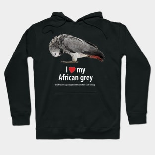 love African grey (2) Hoodie
